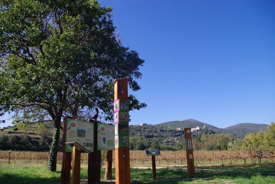 Le parcours du sentier des oiseaux