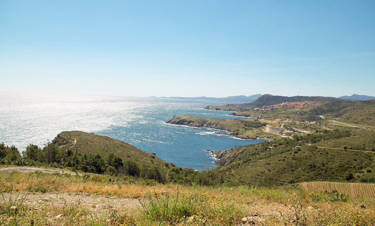 La Réserve Marine de Cerbère-Banyuls