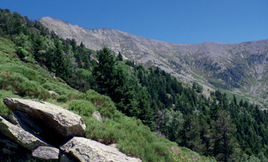Montagne