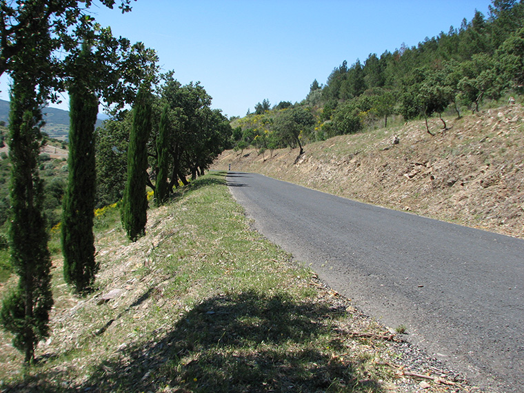 Réseau routier du Département