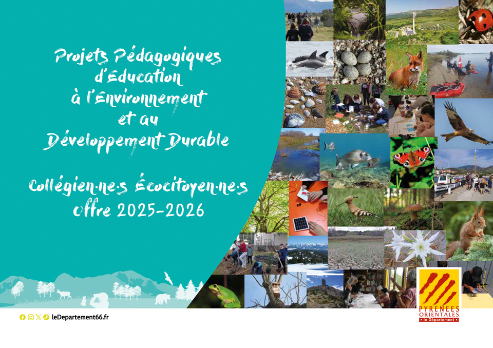 projet pedagogique environnement2025