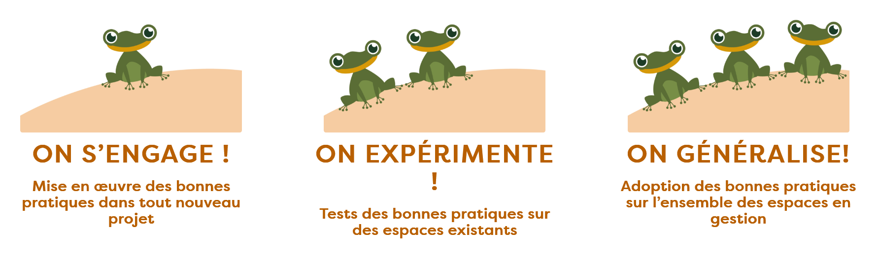 3 niveau charte végétal