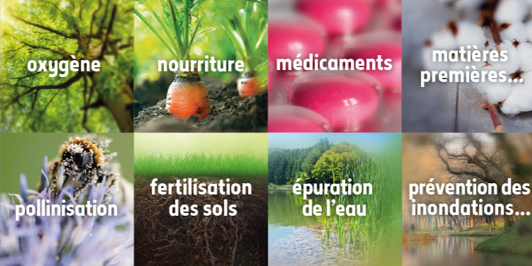 a quoi ça sert