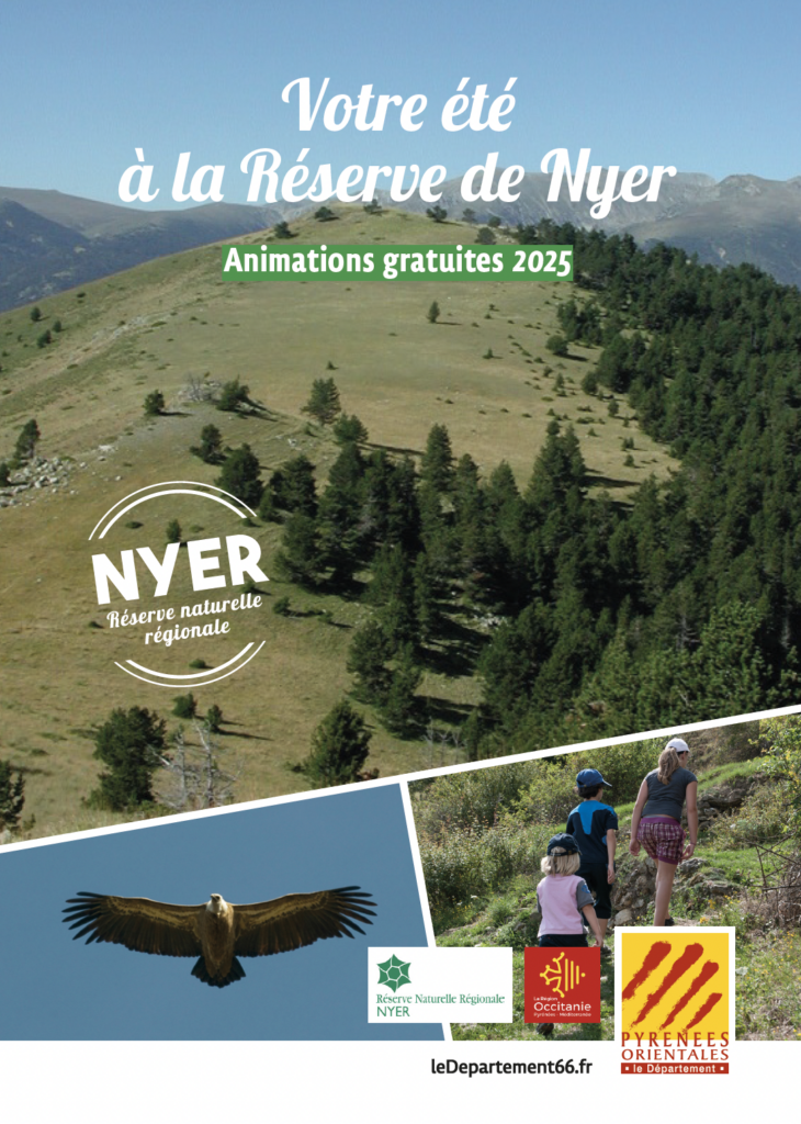 couv nyer